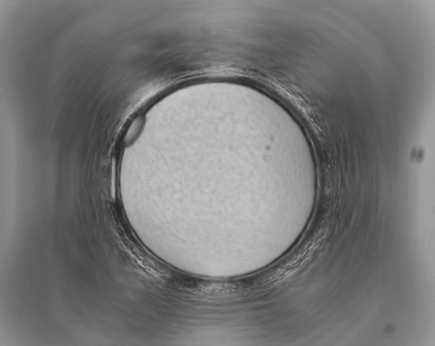 X0000094911171200712201150