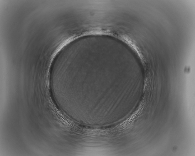 X0000094911173200712201150