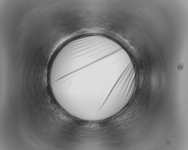 X0000094911174200712201150