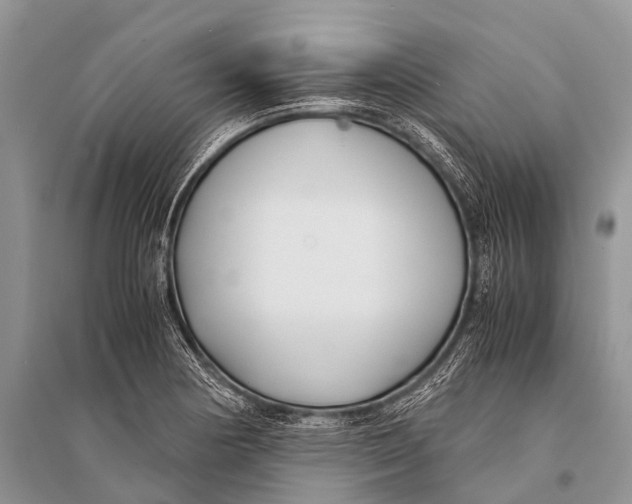 X0000094911178200712201150