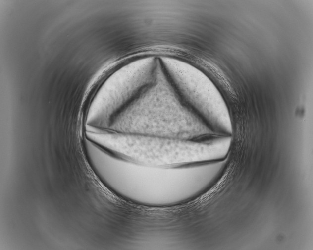 X0000094911180200712201150