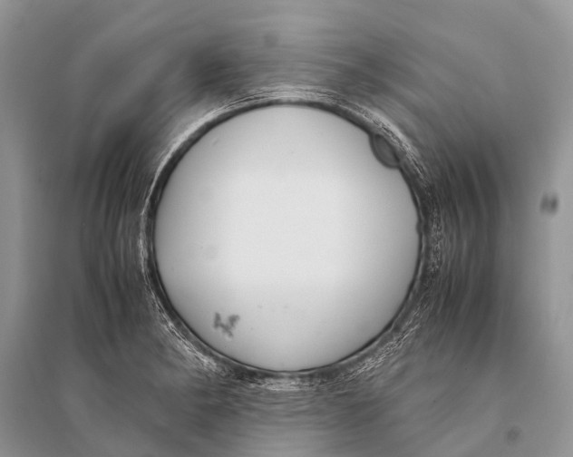 X0000094911182200712201150