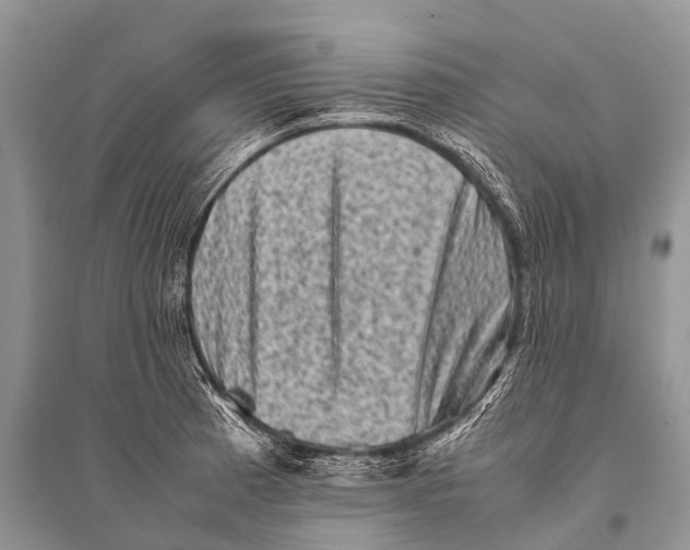 X0000094911185200712201150