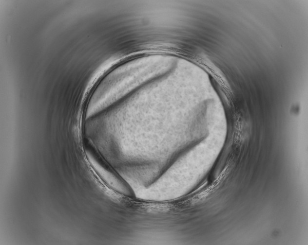 X0000094911196200712201150