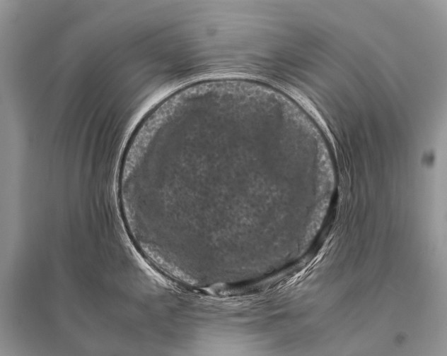 X0000094911197200712201150