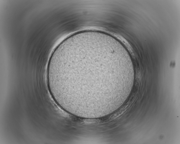 X0000094911199200712201150