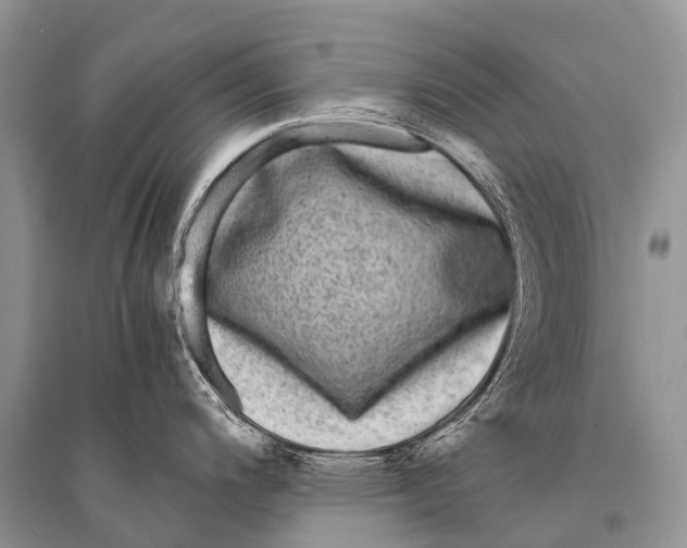 X0000094911200200712201150