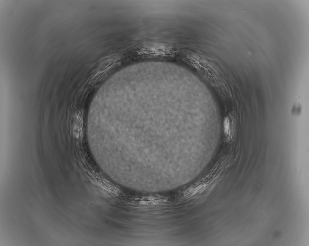 X0000094911203200712201149