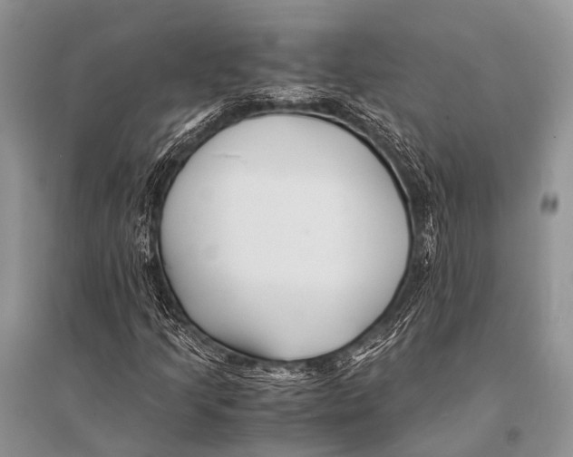 X0000094911205200712201149