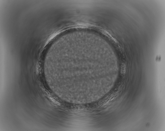 X0000094911208200712201149