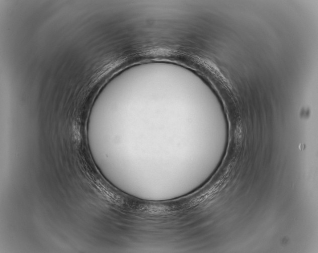 X0000094911209200712201149