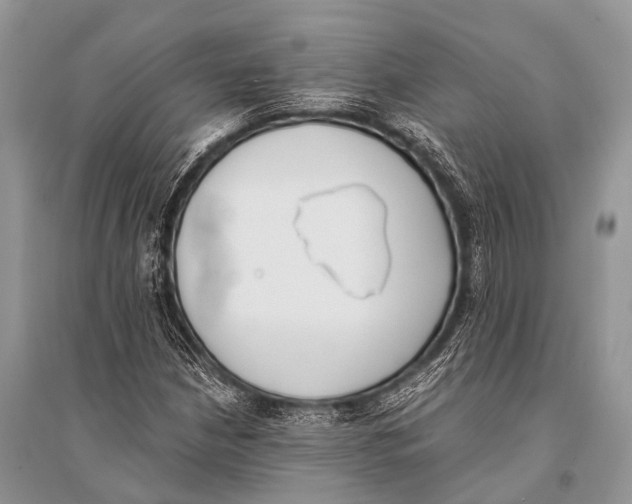 X0000094911210200712201149