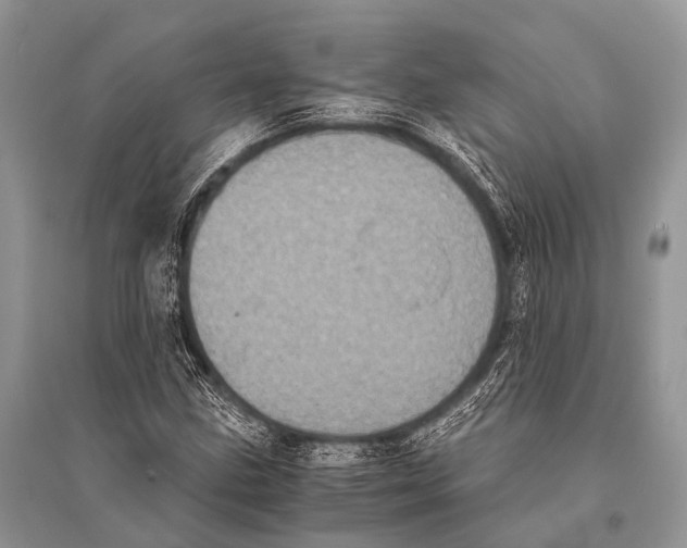 X0000094911211200712201149
