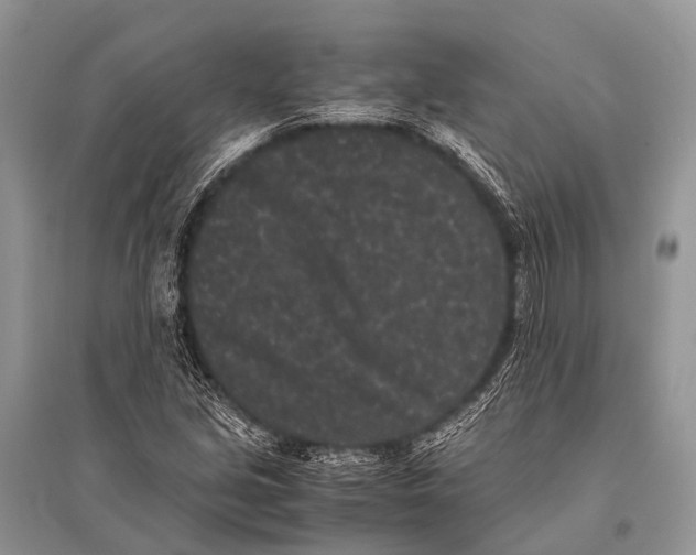 X0000094911213200712201149
