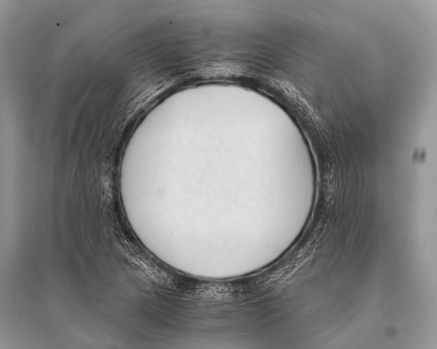 X0000094911217200712201149