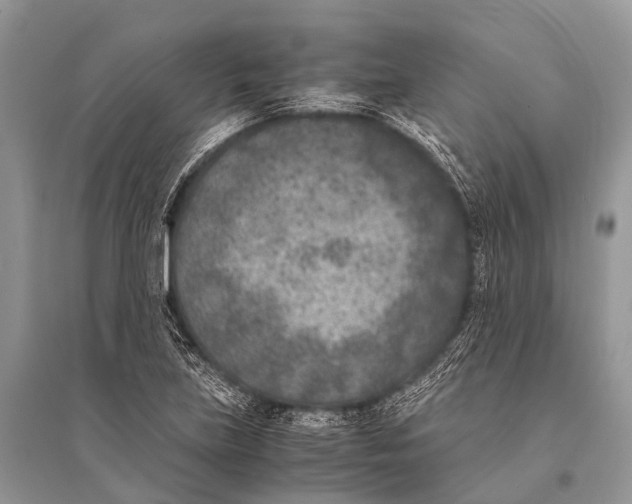 X0000094911219200712201149