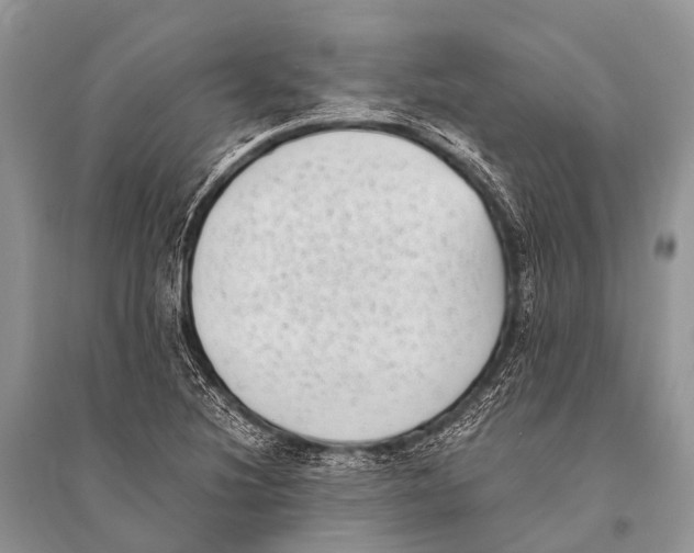 X0000094911220200712201149