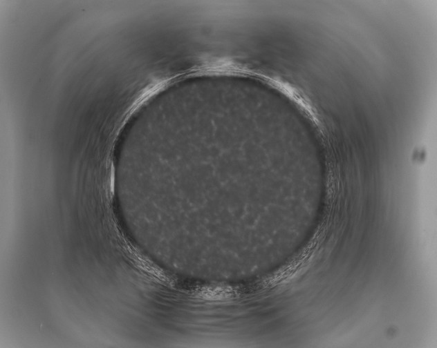 X0000094911221200712201149