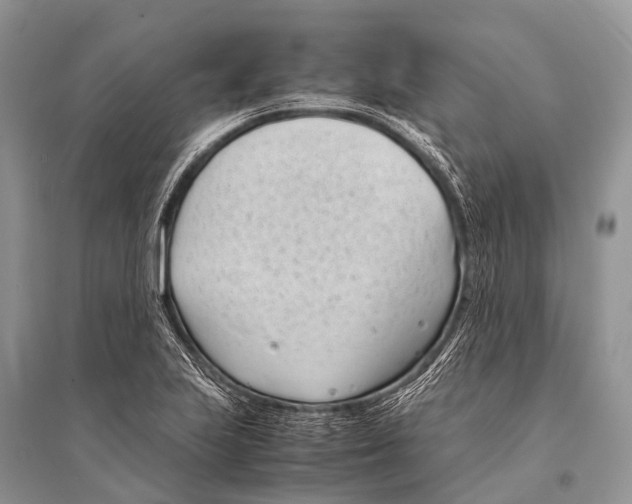X0000094911223200712201149