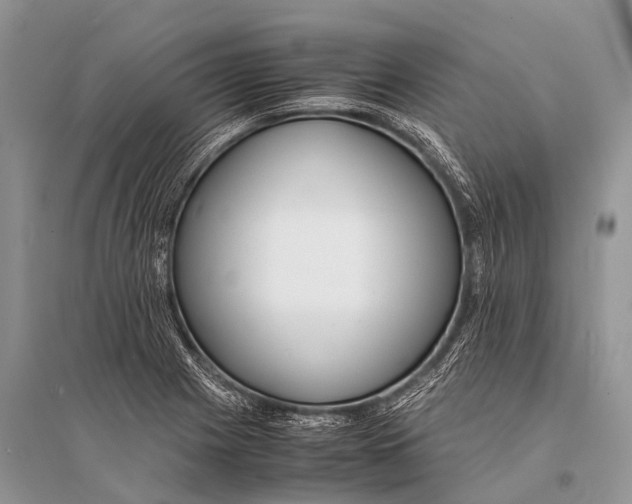 X0000094911225200712201149