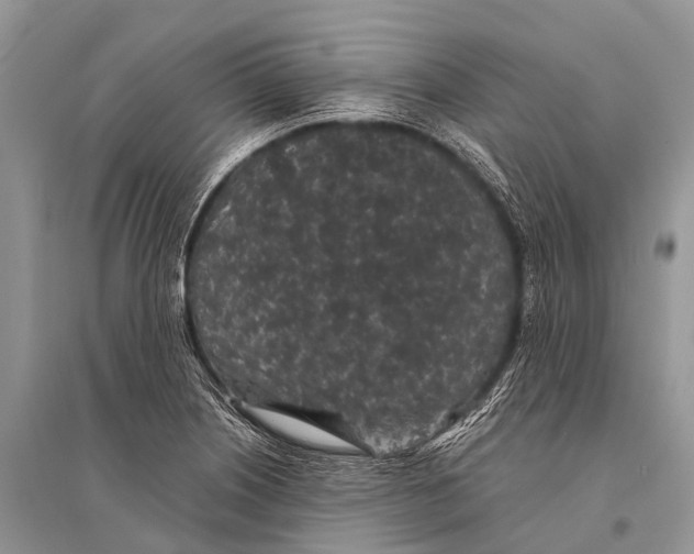 X0000094911226200712201149