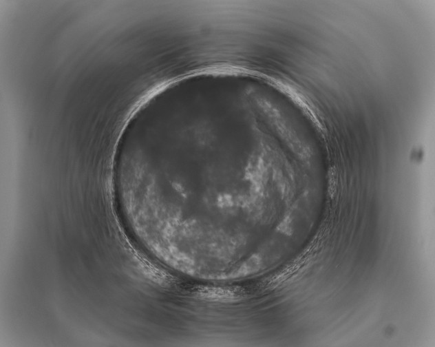 X0000094911229200712201149
