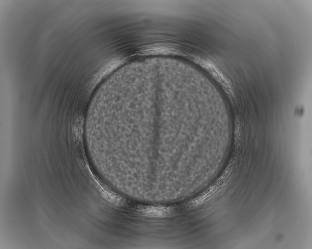 X0000094911233200712201149