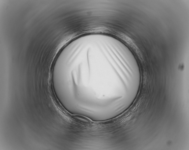 X0000094911234200712201149