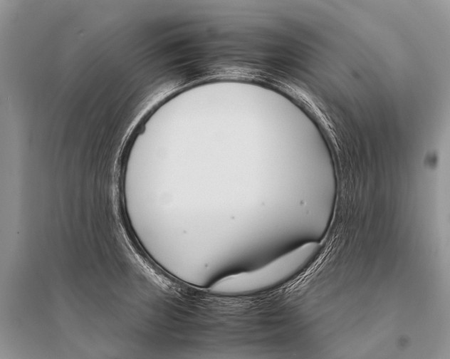 X0000094911235200712201149