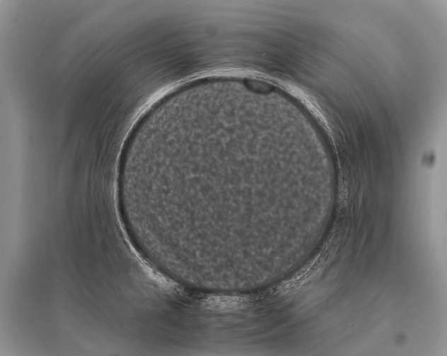 X0000094911237200712201149