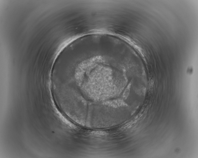 X0000094911239200712201149