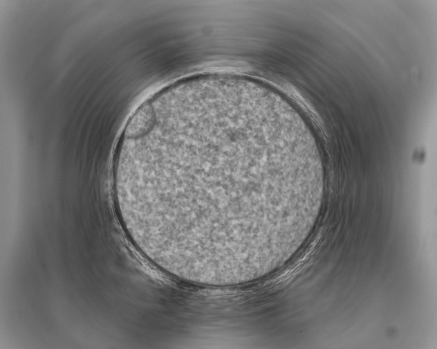 X0000094911240200712201150