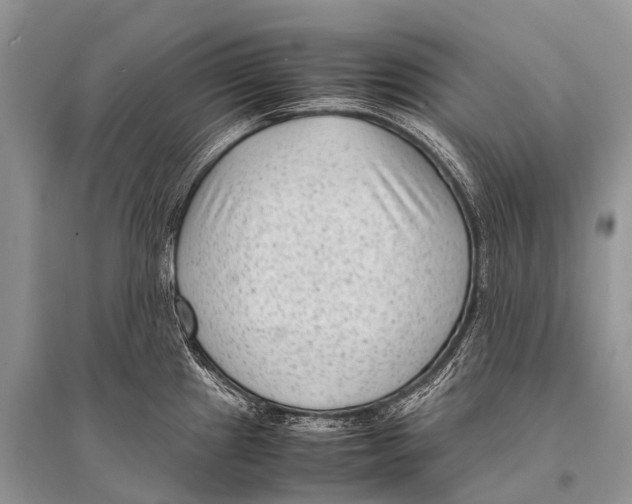 X0000094911241200712201150