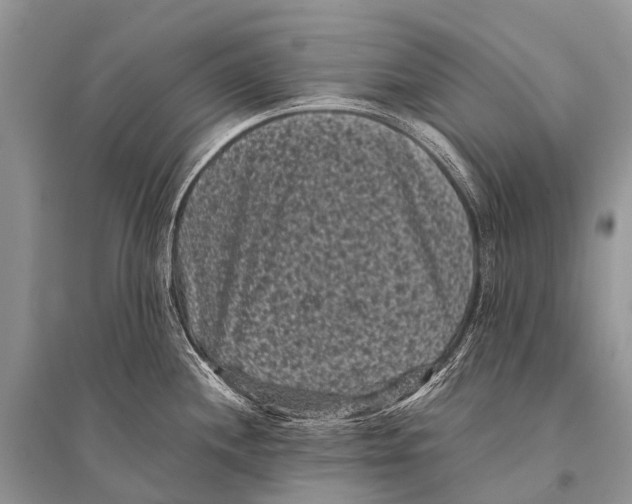 X0000094911244200712201150