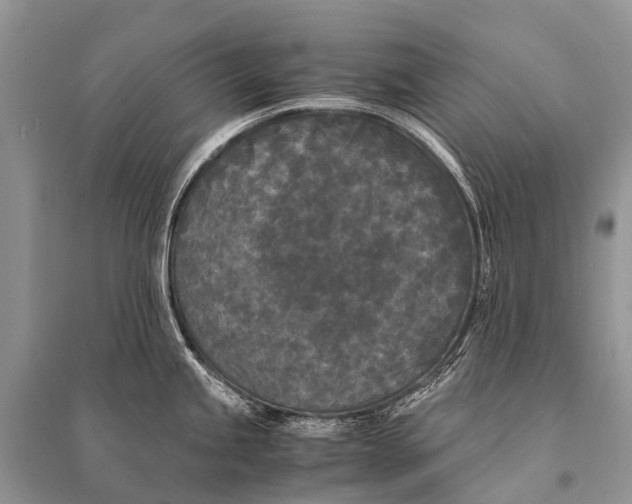 X0000094911245200712201150