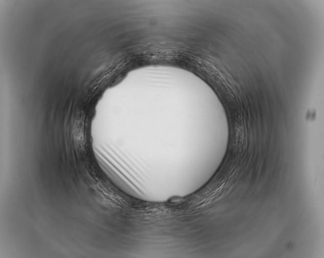 X0000094911250200712201149