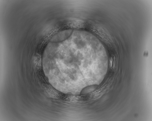 X0000094911251200712201149