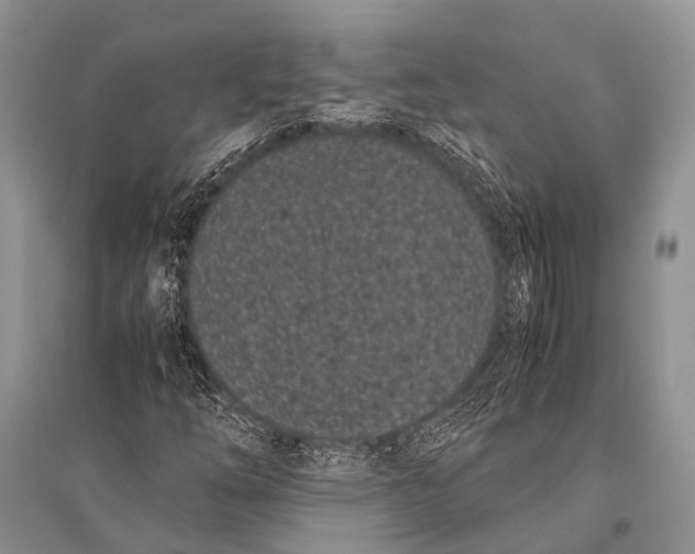 X0000094911254200712201149