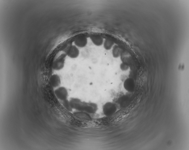 X0000094911255200712201149