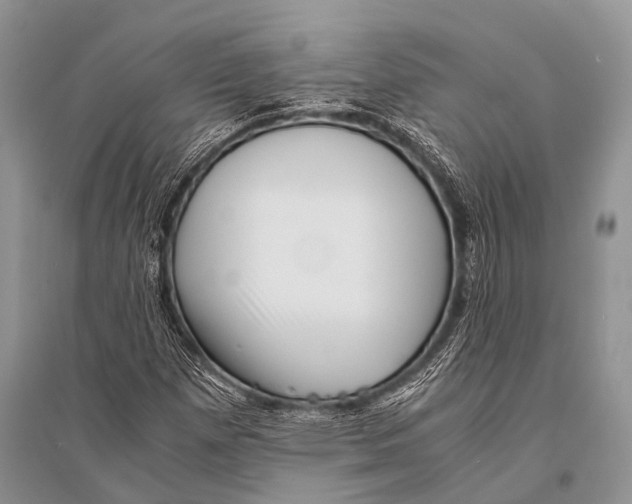X0000094911257200712201149