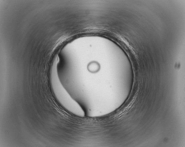 X0000094911259200712201149