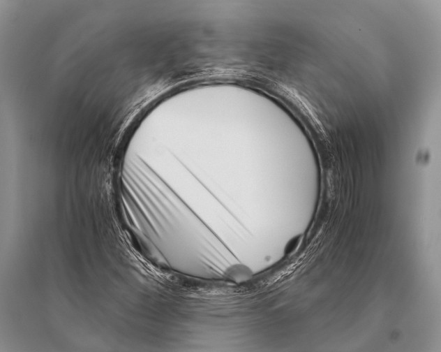 X0000094911260200712201149