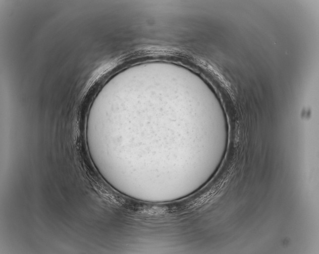 X0000094911261200712201149