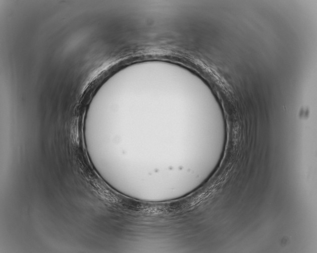 X0000094911262200712201149