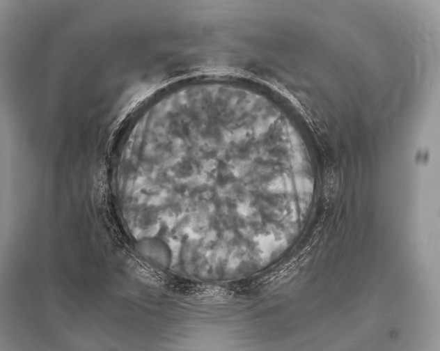 X0000094911263200712201149