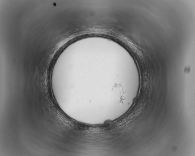 X0000094911264200712201149