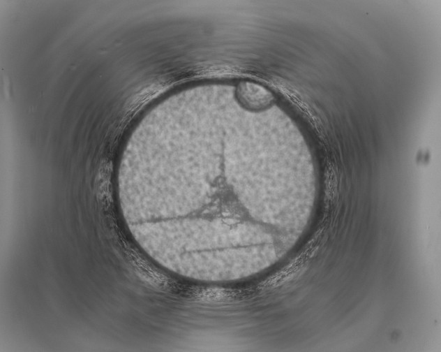 X0000094911265200712201149