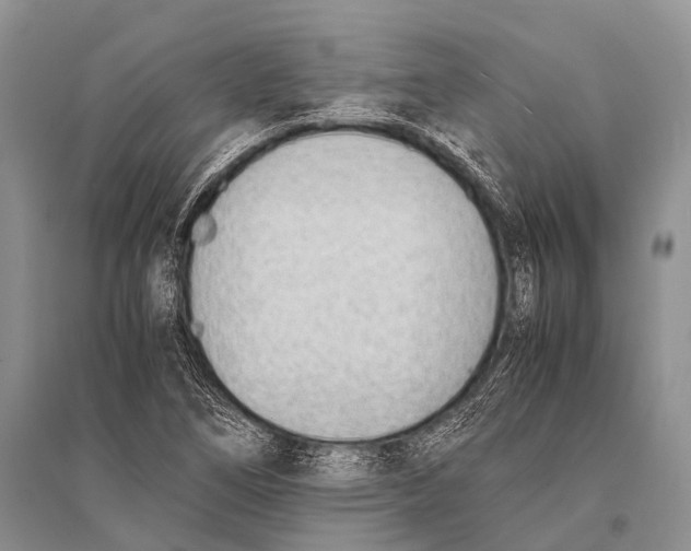 X0000094911266200712201149