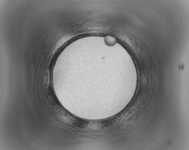 X0000094911267200712201149