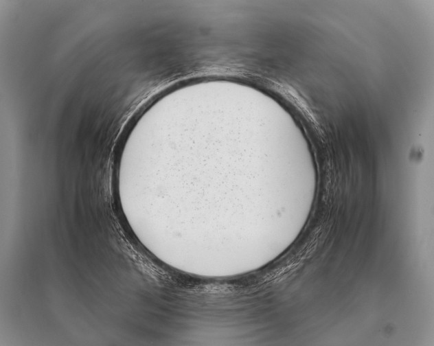 X0000094911268200712201149